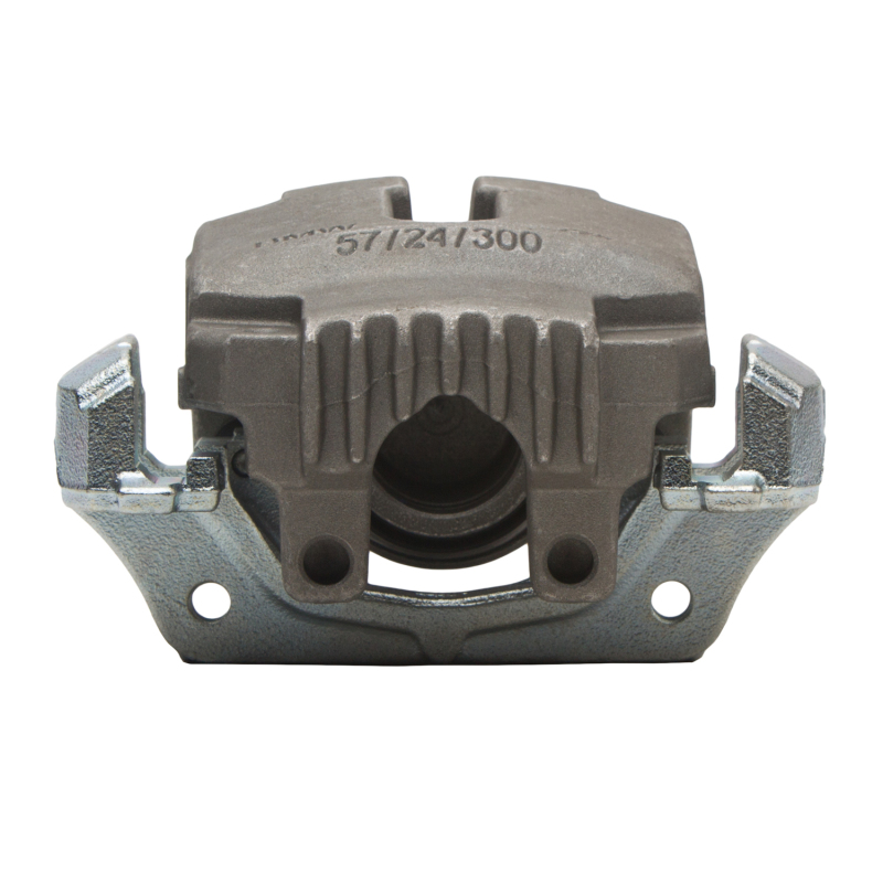 Picture of DFC 06-07 BMW 325i Front-R Premium Caliper - Silver Zinc Coated