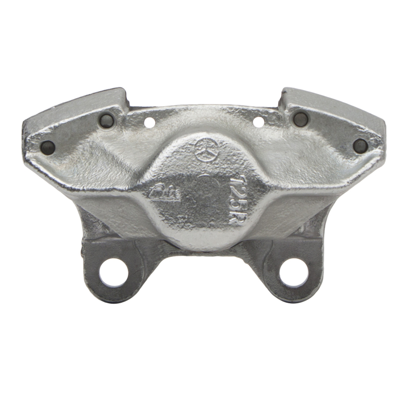 Picture of DFC 67-91 Mercedes-Benz 380SE Rear-R Premium Caliper - Silver Zinc Coated