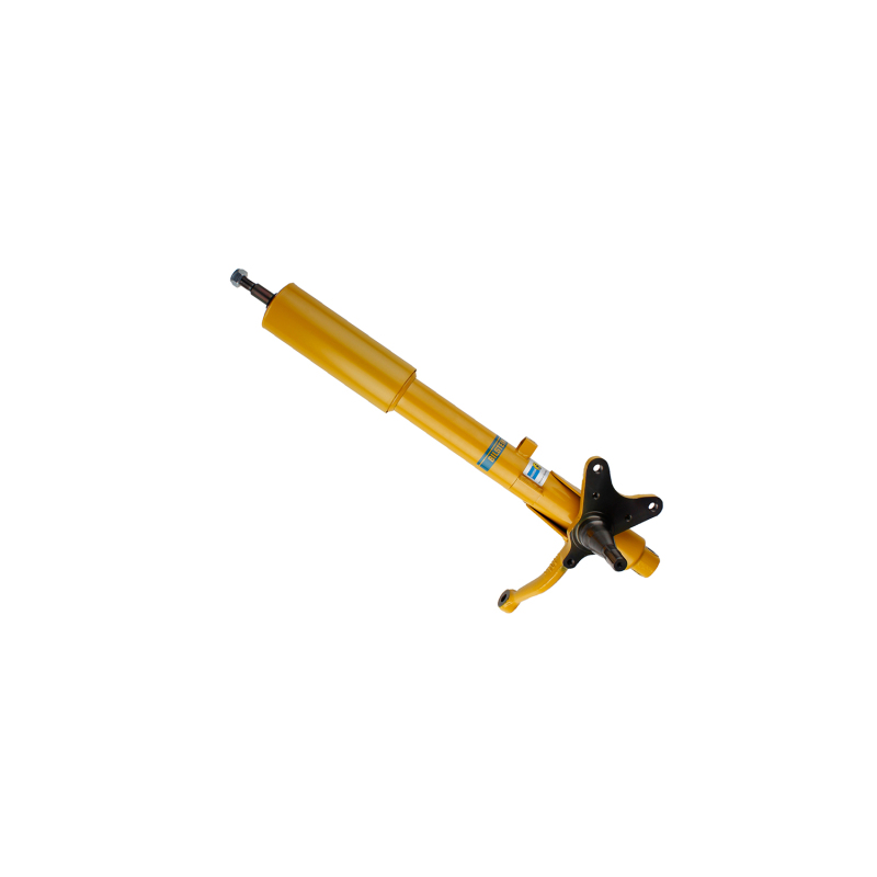 Picture of B6 Performance - Suspension Strut Assembly