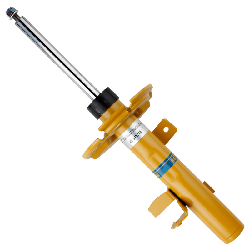 Picture of B6 Performance - Suspension Strut Assembly