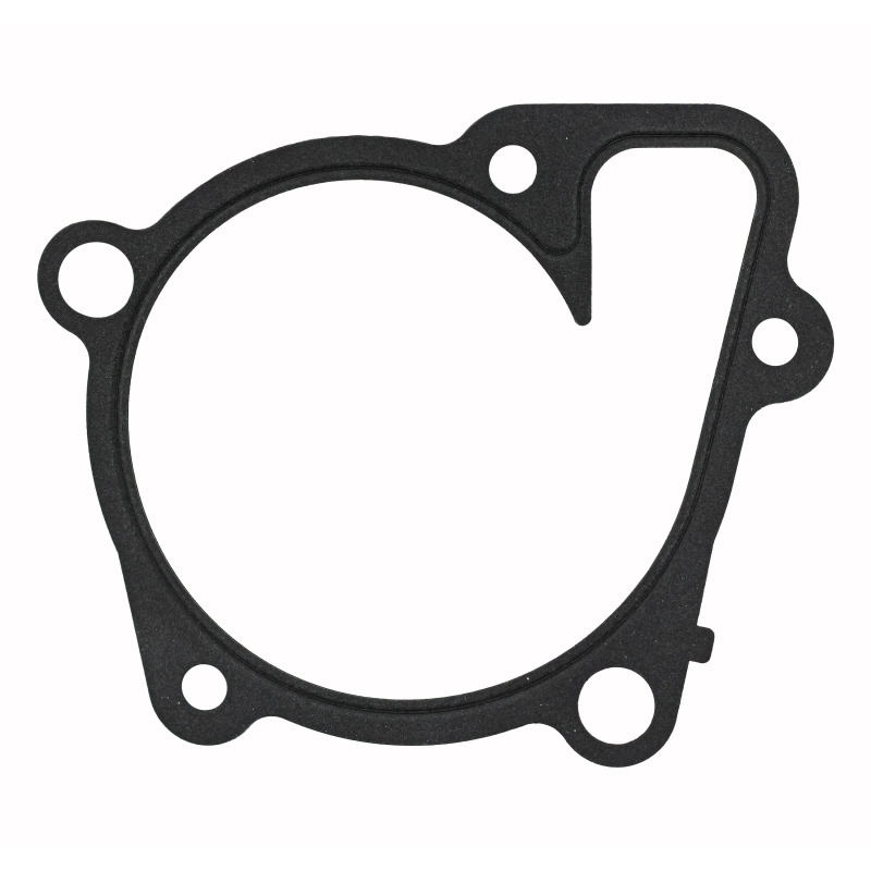 Picture of Fel-Pro Hyundai Santa Fe 36191 Engine Water Pump Gasket