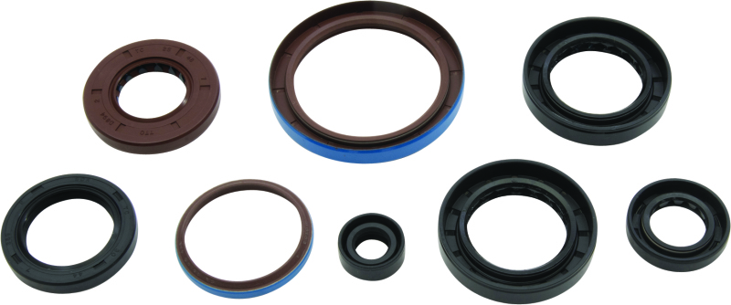 Picture of Vertex Gaskets 12-14 Arctic Cat 550 EFI 4x4 Oil Seal Kit