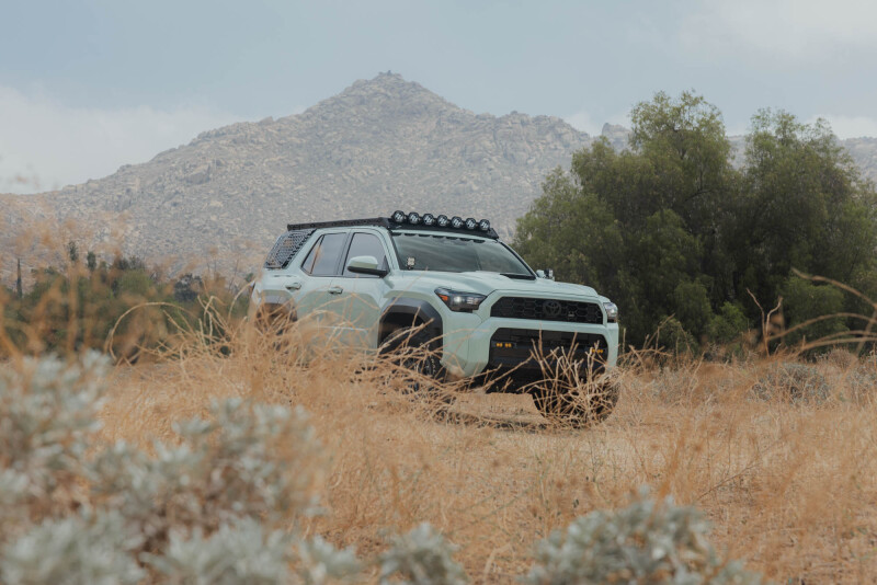 Picture of DV8 Offroad DVE Molle Panels Exterior Trim - RRTF3-02EMP