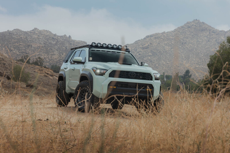 Picture of DV8 Offroad DVE Molle Panels Exterior Trim - RRTF3-02EMP