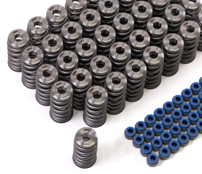 Picture of GSC Power Division GSC Valve Spring Kits Valve Springs, Retainers - 5025