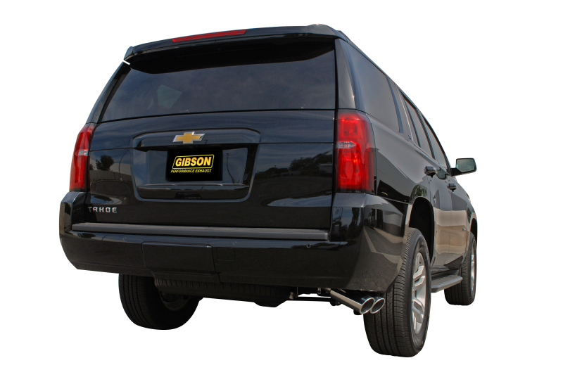 Picture of Gibson GIB Cat-Back-Dual Sport - 5670