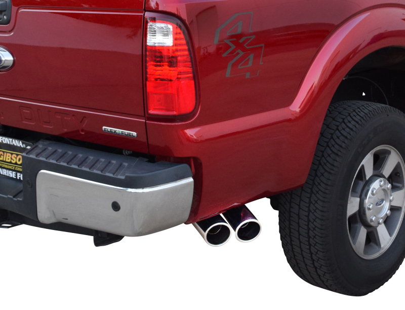 Picture of Gibson GIB Cat-Back-Dual Sport - 69127