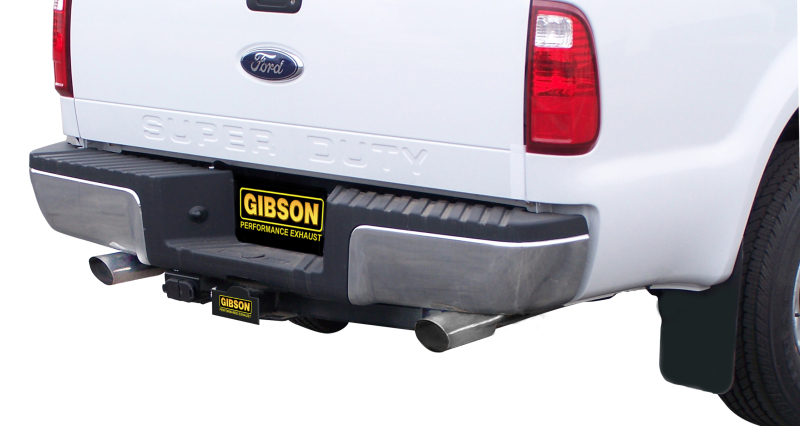 Picture of Gibson GIB Cat-Back-Dual Split - 69129