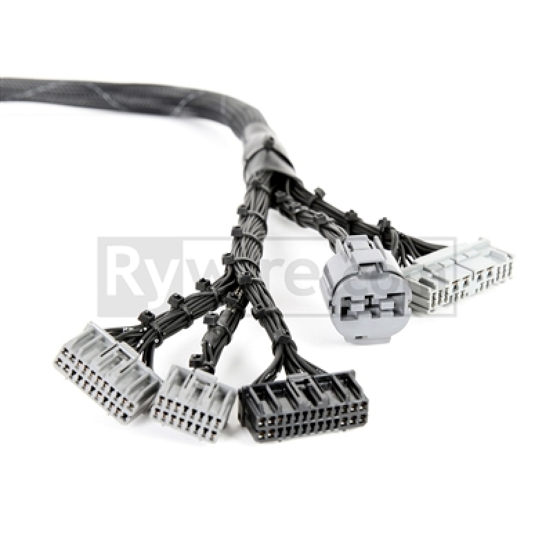 Picture of Rywire RYW Budget Engine Harnesses Wiring Harnesses - RY-B1-BASE