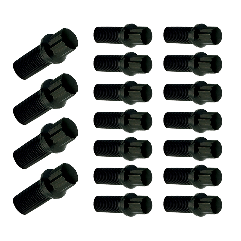 Picture of Moroso MOR Bolts - 38551