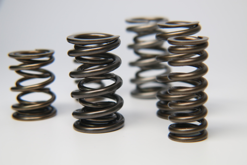 Picture of Ferrea FER Valve Springs-Sets Valve Springs, Retainers - S10003