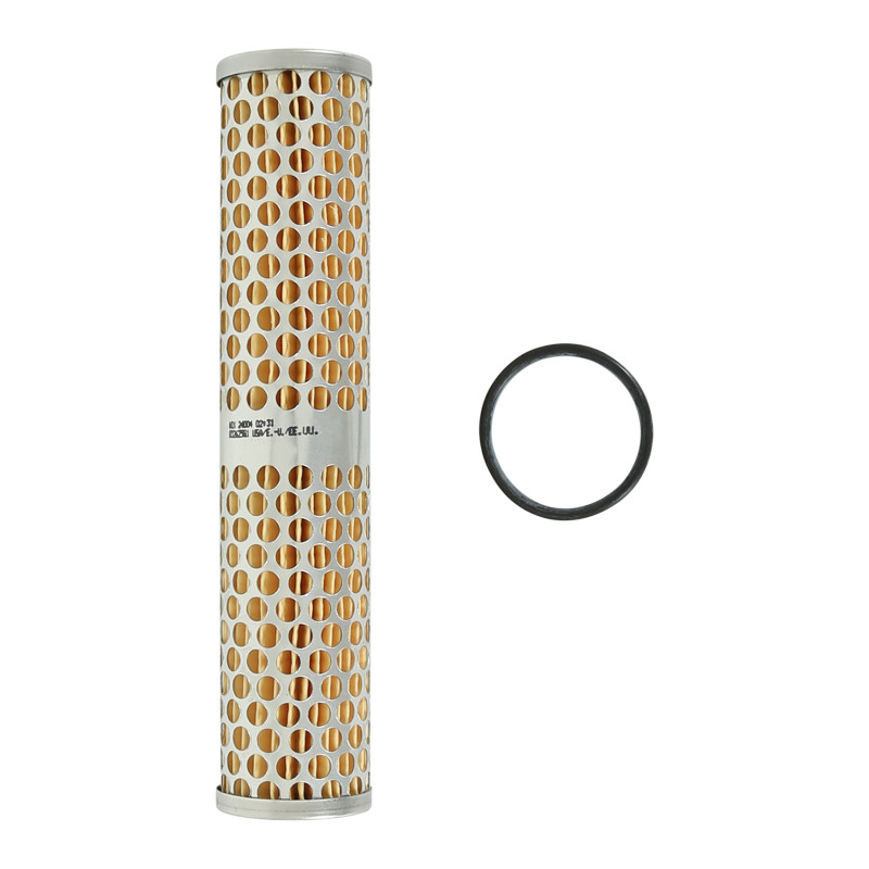 Picture of AEM Fuel Filters - 25-202