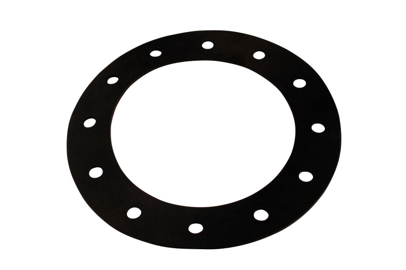 Picture of Aeromotive AER Gaskets & Seals Gasket Kits - 18013
