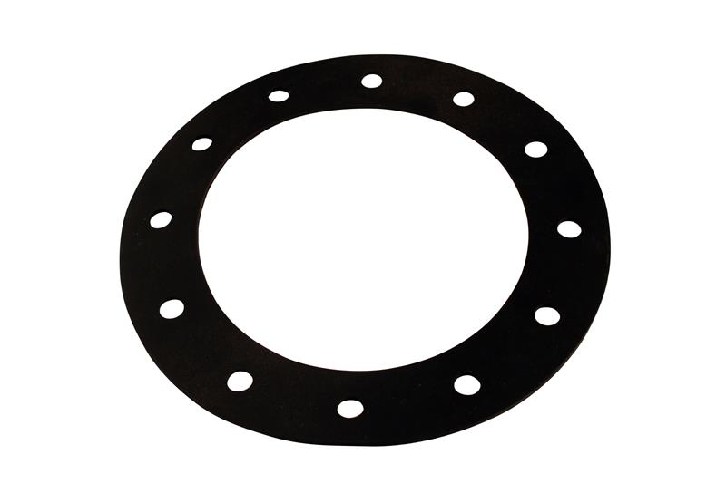 Picture of Aeromotive AER Gaskets & Seals Gasket Kits - 18013