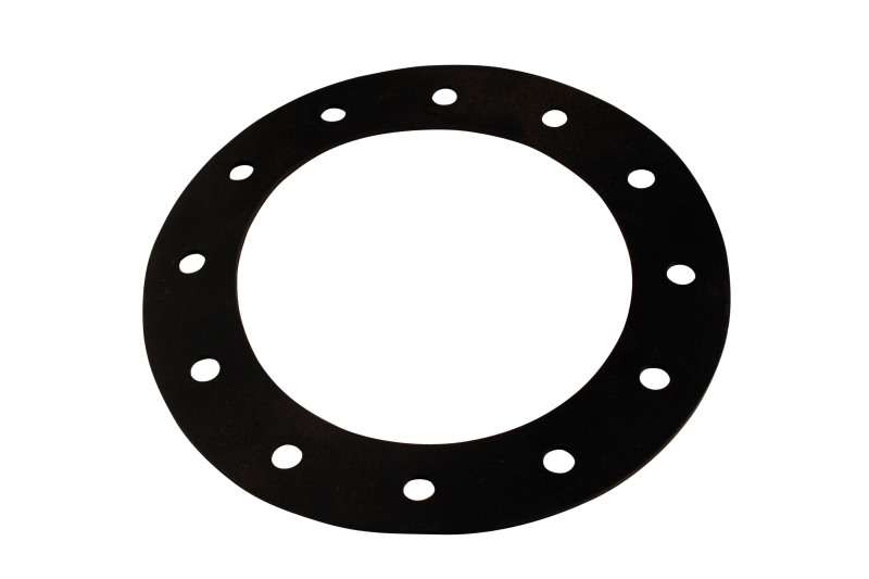 Picture of Aeromotive AER Gaskets & Seals Gasket Kits - 18013