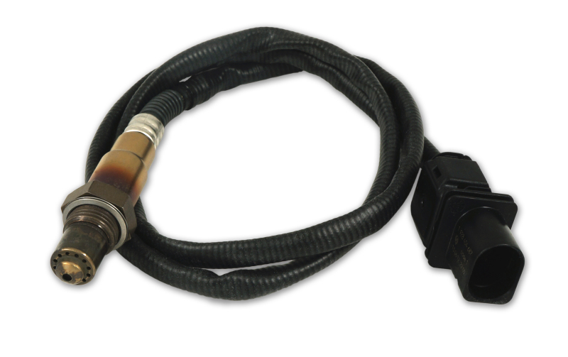 Picture of Innovate Motorsports INN Wideband Sensors Oxygen Sensors - 3888