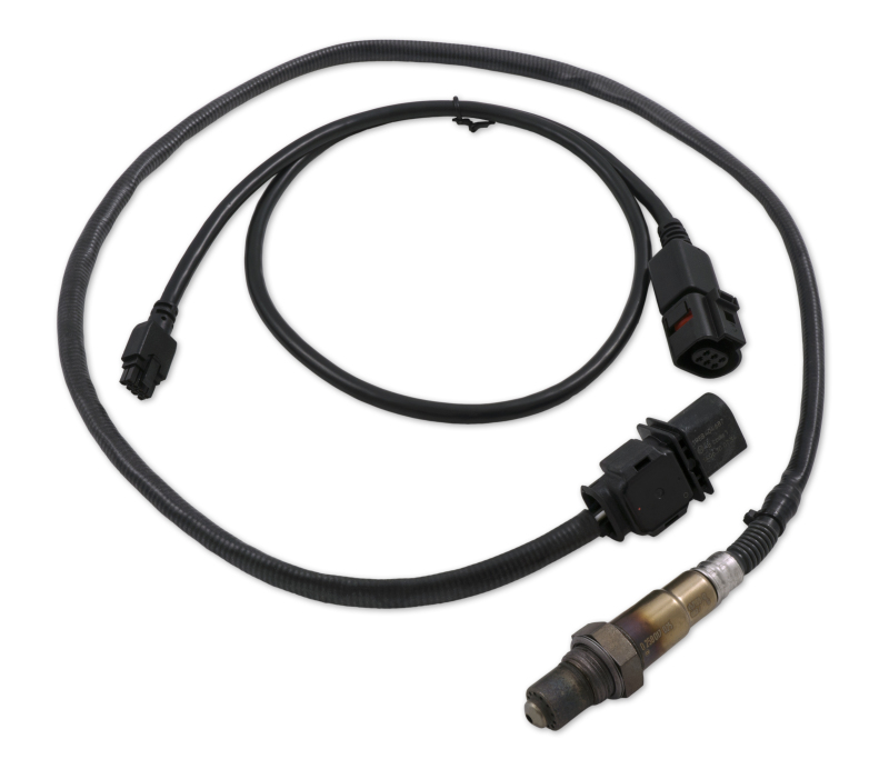 Picture of Innovate Motorsports INN Wideband Sensors Oxygen Sensors - 3896