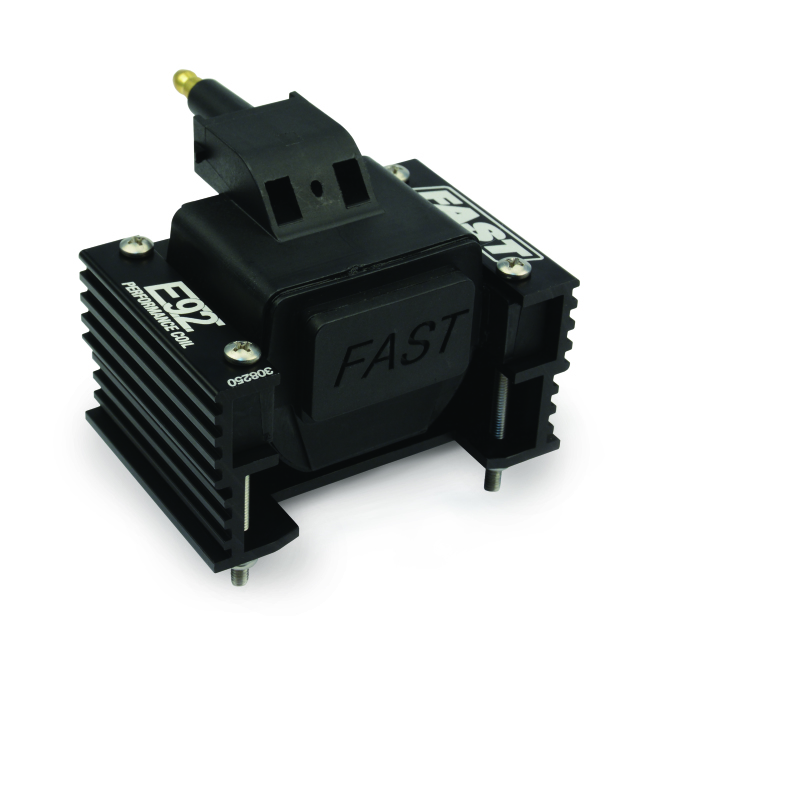 Picture of FAST FST Ignition Coils - 308250
