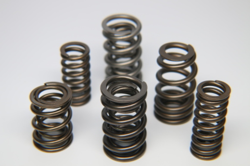 Picture of Ferrea FER Valve Springs-Sets Valve Springs, Retainers - S10178