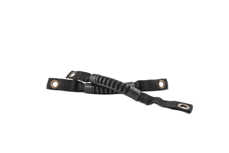 Picture of Body Armor 4x4 BOD Grab Handles Dash & Interior Trim - 5143