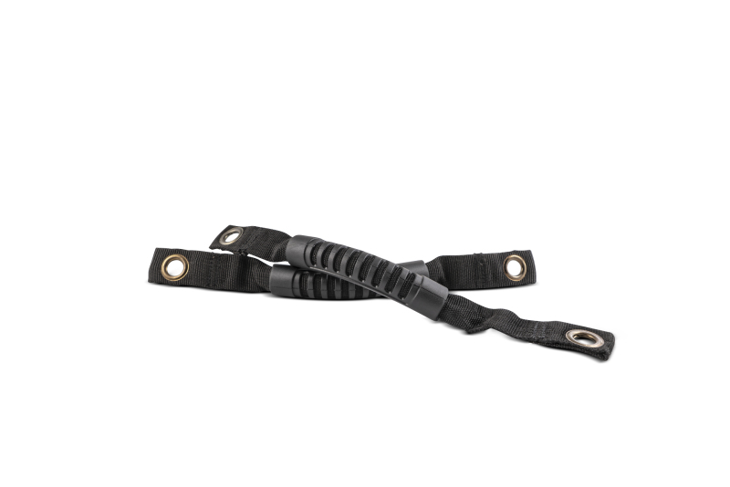 Picture of Body Armor 4x4 BOD Grab Handles Dash & Interior Trim - 5143