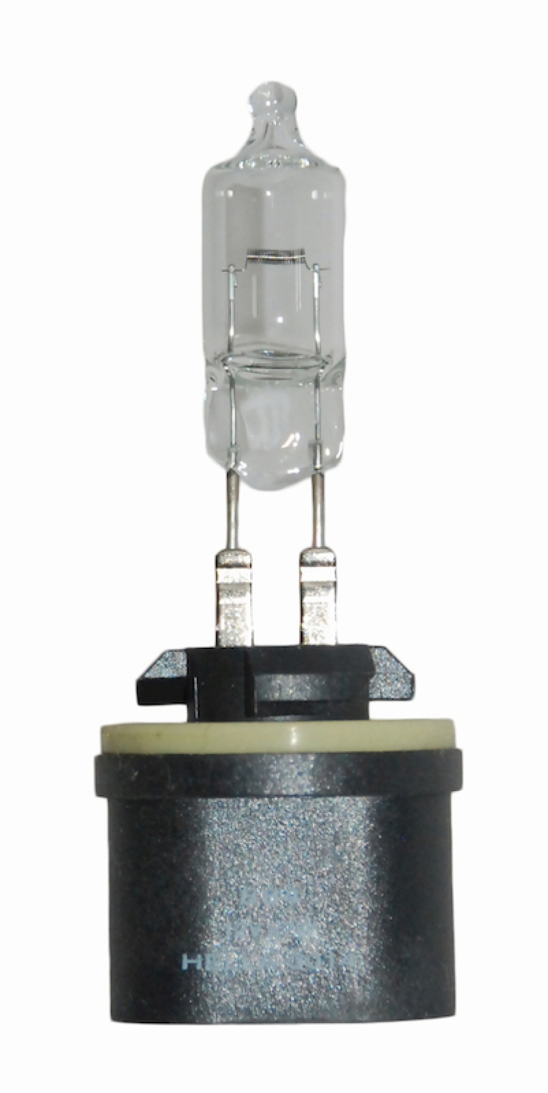 Picture of Hella Bulbs - 884