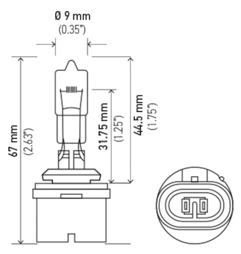 Picture of Hella Bulbs - 884