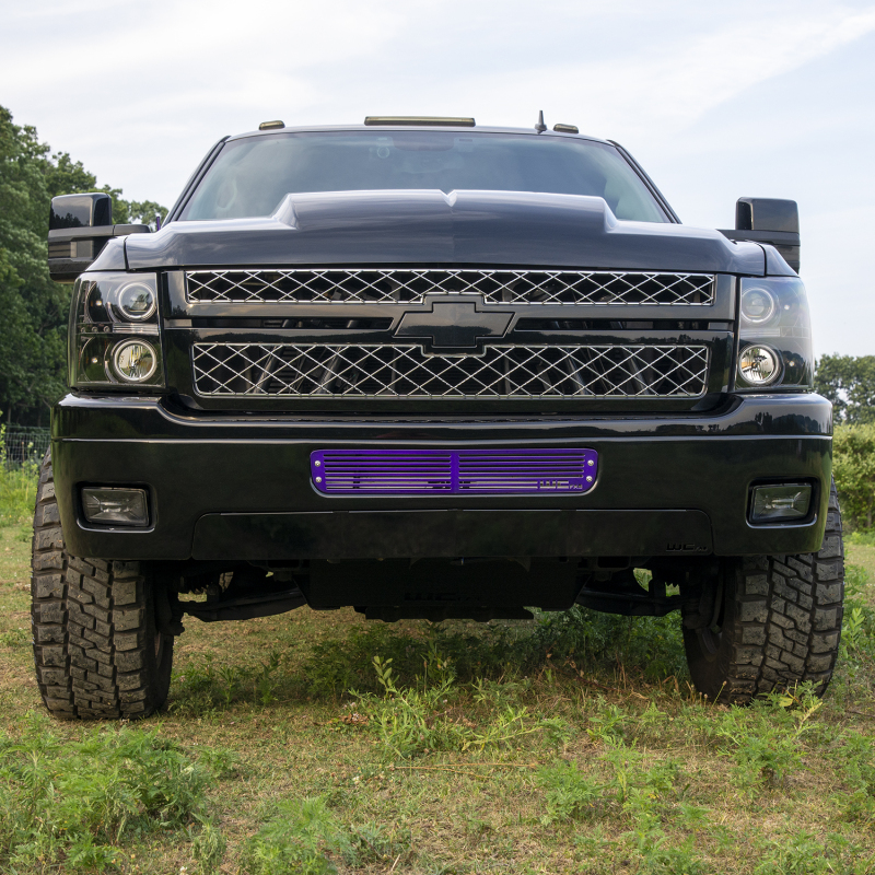Picture of Wehrli WCF Bumper Grilles Bumper Accessories - WCF100285-GB