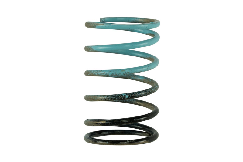 Picture of Turbosmart TS Wastegate Springs - TS-0600-3055
