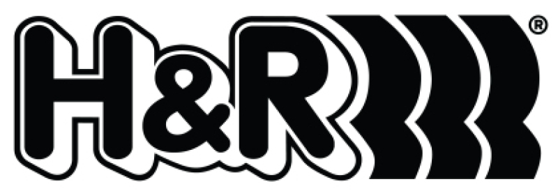 Picture of H&R HR Replacement Springs Front Lowering Springs - 28639-2VA