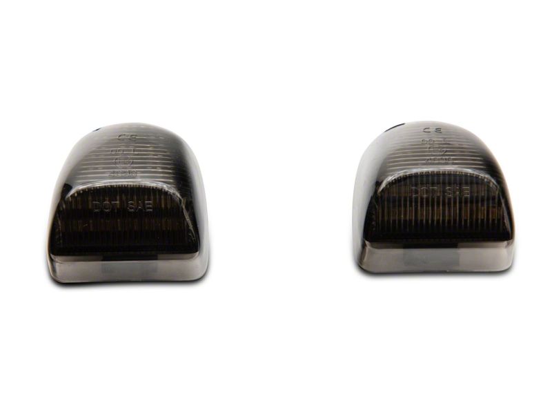 Picture of Raxiom RAX License Plate Bulbs - S122507