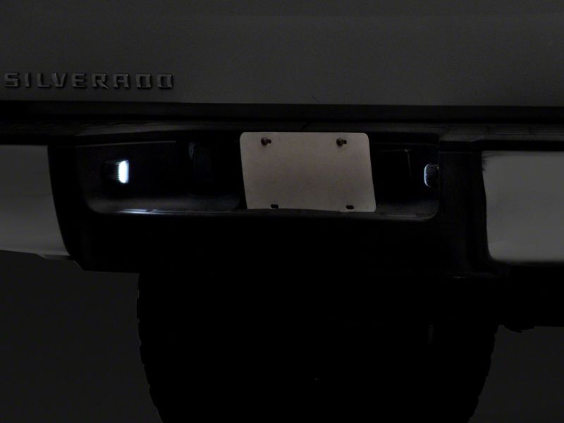 Picture of Raxiom RAX License Plate Bulbs - S122507