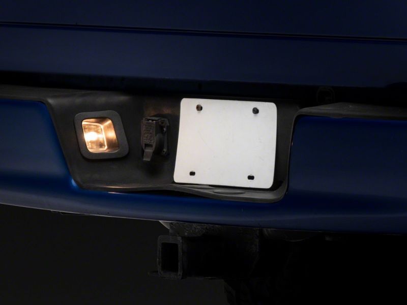 Picture of Raxiom RAX License Plate Bulbs - R145024