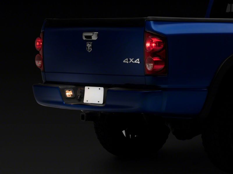 Picture of Raxiom RAX License Plate Bulbs - R145024