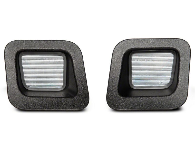 Picture of Raxiom RAX License Plate Bulbs - R145024