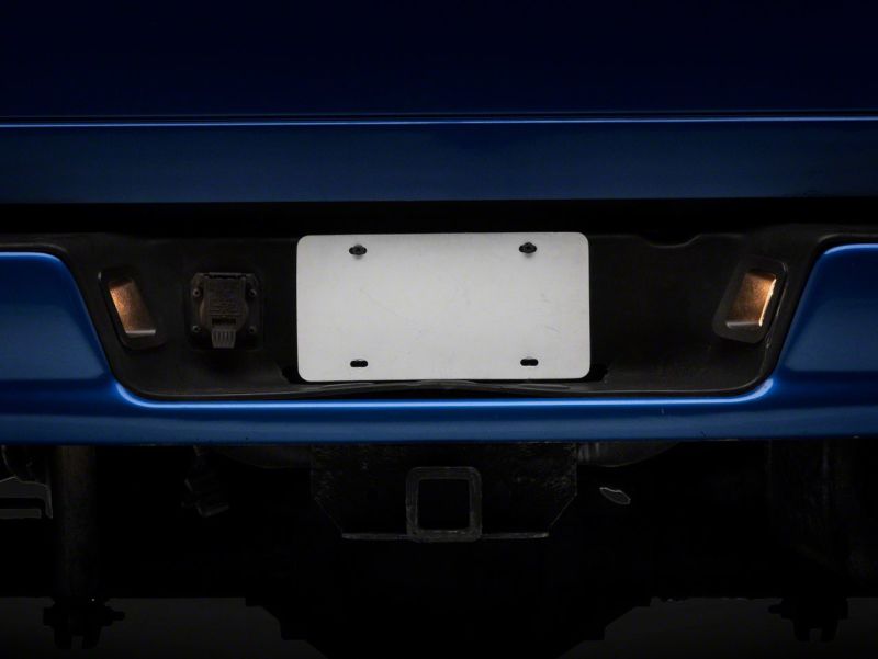 Picture of Raxiom RAX License Plate Bulbs - R145024