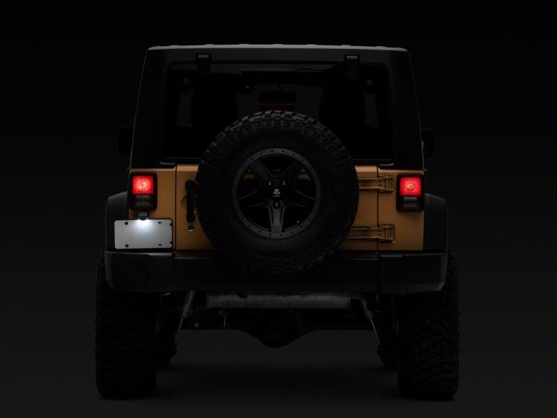 Picture of Raxiom RAX License Plate Bulbs - J132812