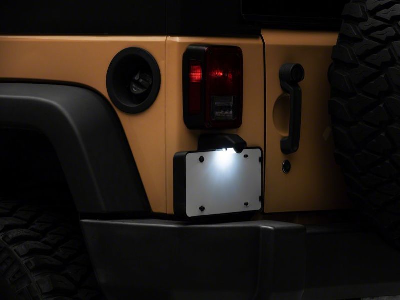 Picture of Raxiom RAX License Plate Bulbs - J132812
