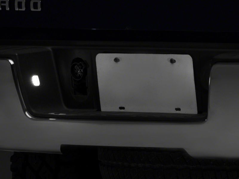 Picture of Raxiom RAX License Plate Bulbs - S115447