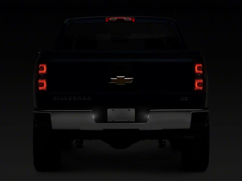 Picture of Raxiom RAX License Plate Bulbs - S115447