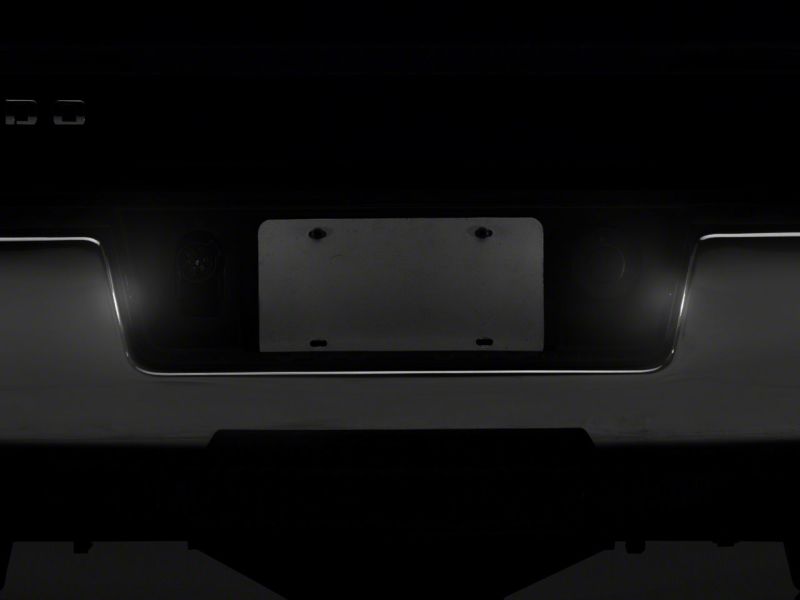 Picture of Raxiom RAX License Plate Bulbs - S115447