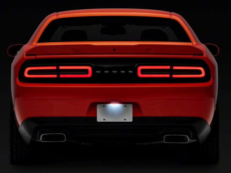 Picture of Raxiom RAX License Plate Bulbs - CH3214