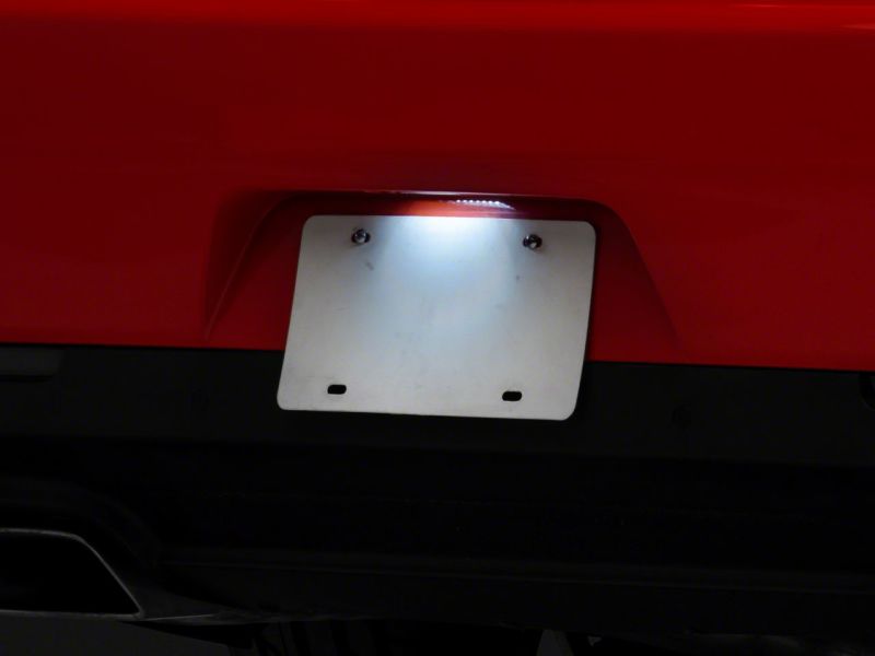 Picture of Raxiom RAX License Plate Bulbs - CH3214