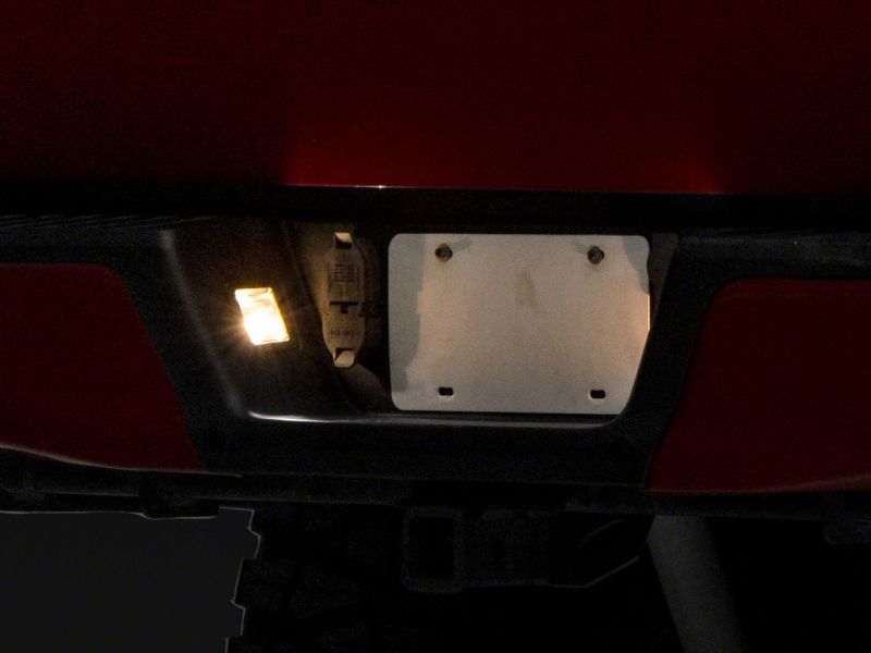 Picture of Raxiom RAX License Plate Bulbs - T557362
