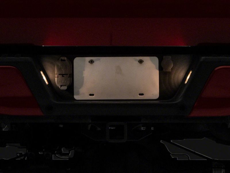 Picture of Raxiom RAX License Plate Bulbs - T557362