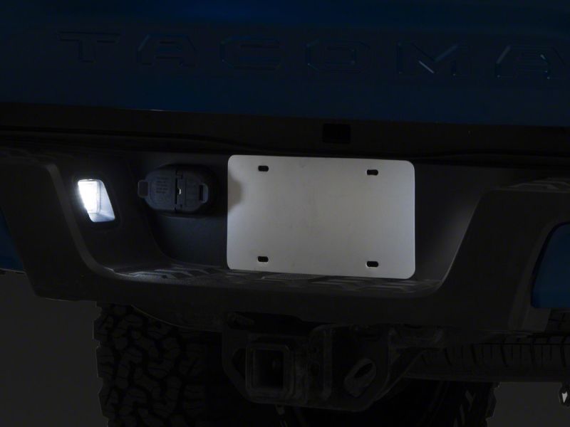 Picture of Raxiom RAX License Plate Bulbs - TT6701