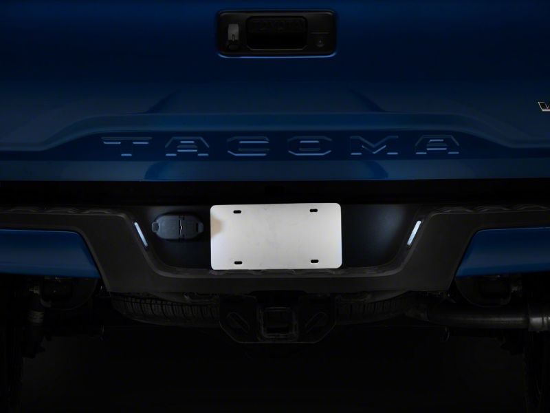 Picture of Raxiom RAX License Plate Bulbs - TT6701