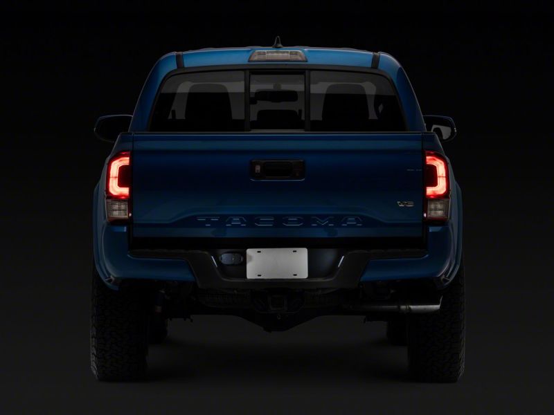 Picture of Raxiom RAX License Plate Bulbs - TT6701