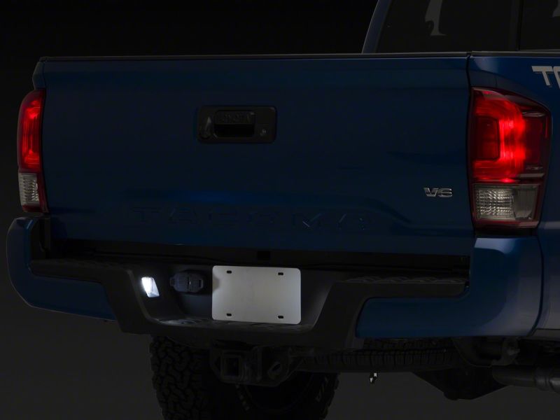 Picture of Raxiom RAX License Plate Bulbs - TT6701