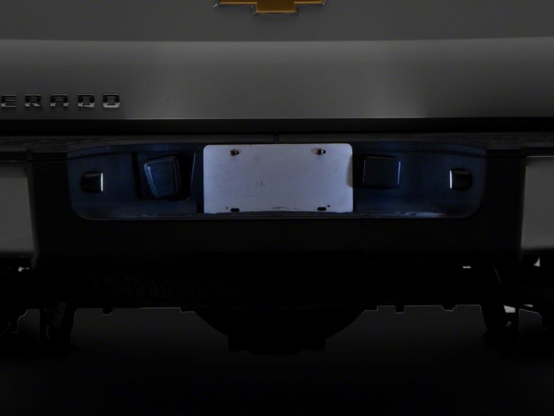 Picture of Raxiom RAX License Plate Bulbs - S155419